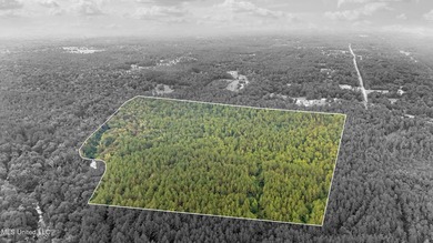 74.8 acres of beautiful property with oaks, magnolias, pines & - photo 19