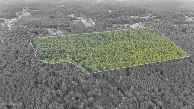 74.8 acres of beautiful property with oaks, magnolias, pines & - photo 20