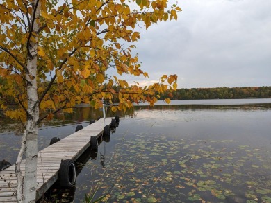 Phillips Chain of Lakes - Wilson Lake Lot Sale Pending in Phillips Wisconsin