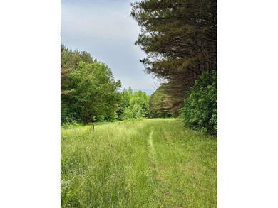 If you are looking for a standout property that is close to town - photo 21