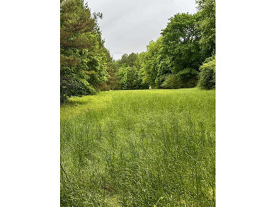If you are looking for a standout property that is close to town - photo 22