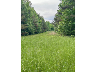 If you are looking for a standout property that is close to town - photo 23