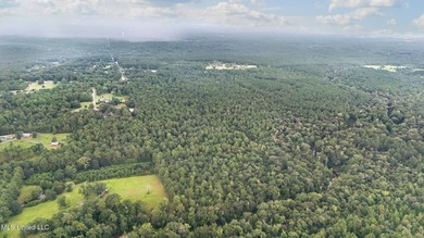 74.8 acres of beautiful property with oaks, magnolias, pines & - photo 24