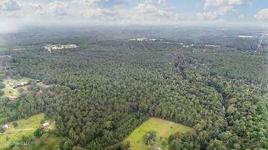 74.8 acres of beautiful property with oaks, magnolias, pines & - photo 26