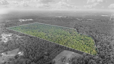 74.8 acres of beautiful property with oaks, magnolias, pines & - photo 27
