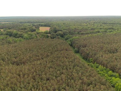 If you are looking for a standout property that is close to town - photo 28