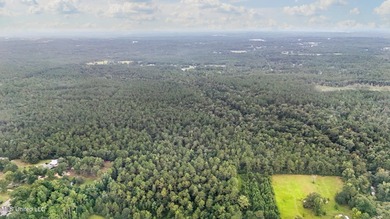 74.8 acres of beautiful property with oaks, magnolias, pines & - photo 28
