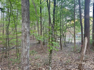 Build and customize your own lakeside retreat in the quiet and - photo 34