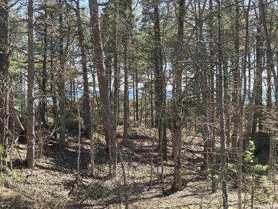 A once-in-a-generation offering on the north shore of Lake - photo 34