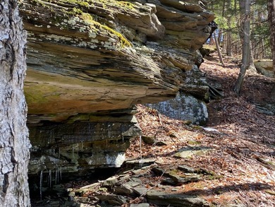 Available for sale for the first time since 1935, Point Mountain - photo 5