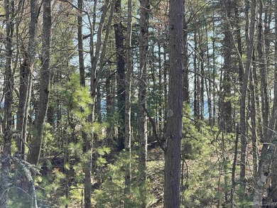 A once-in-a-generation offering on the north shore of Lake - photo 36
