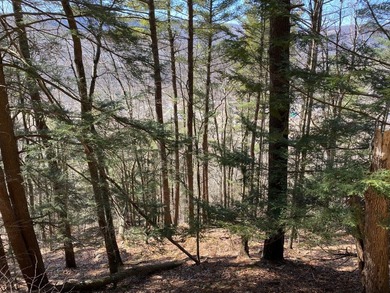 Available for sale for the first time since 1935, Point Mountain - photo 7