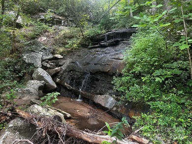 34 ACRES less than 2 miles from beautiful Lake Lure! This - photo 2