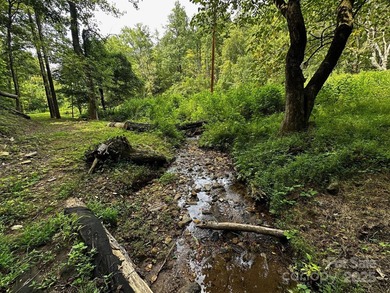 34 ACRES less than 2 miles from beautiful Lake Lure! This - photo 3