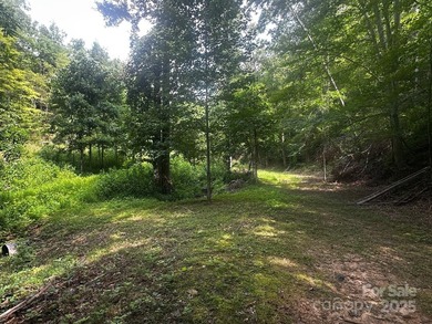 34 ACRES less than 2 miles from beautiful Lake Lure! This - photo 4