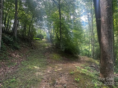 34 ACRES less than 2 miles from beautiful Lake Lure! This - photo 5