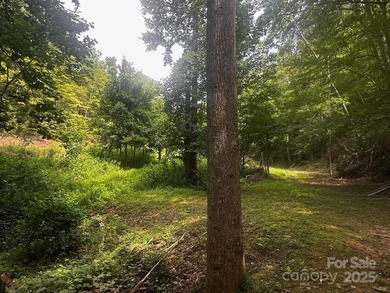 34 ACRES less than 2 miles from beautiful Lake Lure! This - photo 6