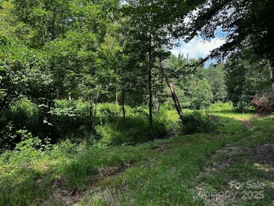 34 ACRES less than 2 miles from beautiful Lake Lure! This - photo 7