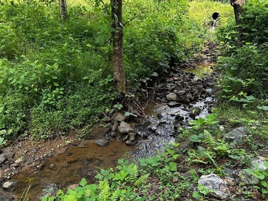 34 ACRES less than 2 miles from beautiful Lake Lure! This - photo 8