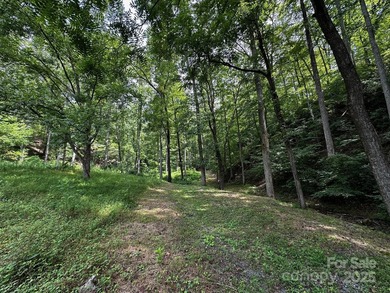 34 ACRES less than 2 miles from beautiful Lake Lure! This - photo 9