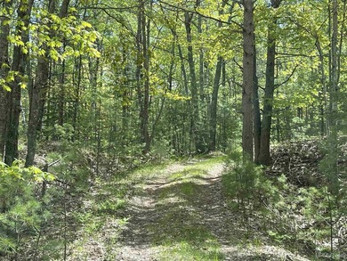 A once-in-a-generation offering on the north shore of Lake - photo 49