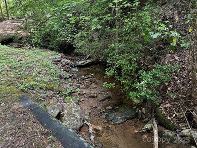 34 ACRES less than 2 miles from beautiful Lake Lure! This - photo 10
