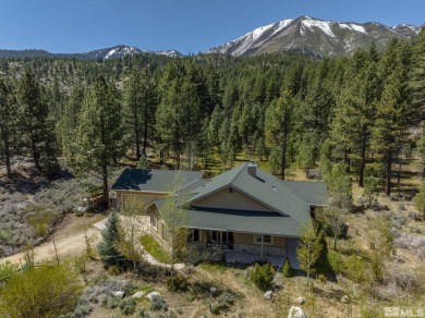 Washoe Lake Home For Sale in Washoe Valley Nevada