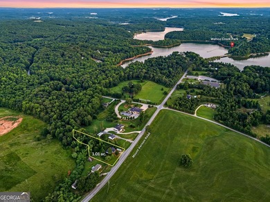 Opportunity awaits in North Hall! Situated on over an acre in - photo 3
