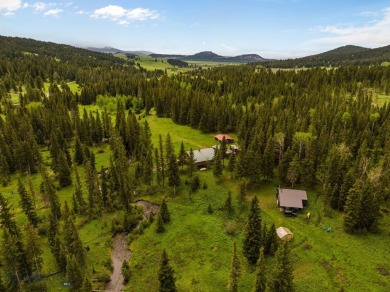 Lake Home For Sale in Wilsall, Montana