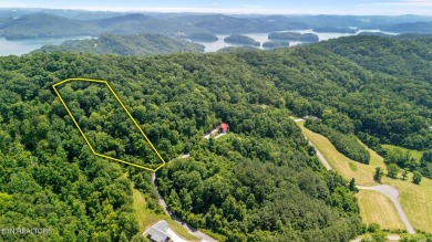 Lake Acreage For Sale in Sharps Chapel, Tennessee