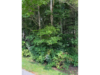 Lake Glenville Lot For Sale in Cashiers North Carolina