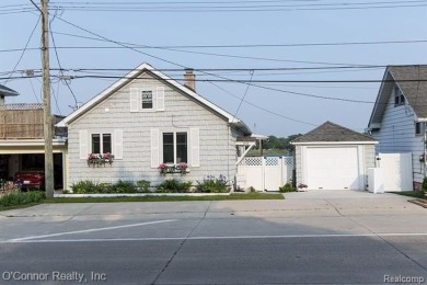 Lake Home For Sale in Marysville, Michigan