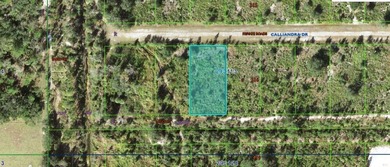 Build your dream construction on this 0.50-acre vacant  lot in - photo 2