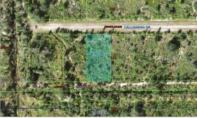 Build your dream construction on this 0.50-acre vacant  lot in - photo 3