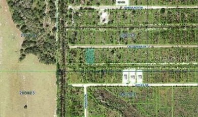 Build your dream construction on this 0.50-acre vacant  lot in - photo 4