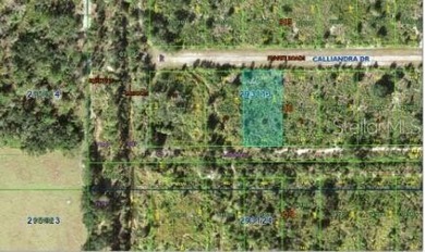 Build your dream construction on this 0.50-acre vacant  lot in - photo 6
