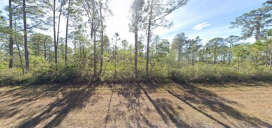 Build your dream construction on this 0.50-acre vacant  lot in - photo 9