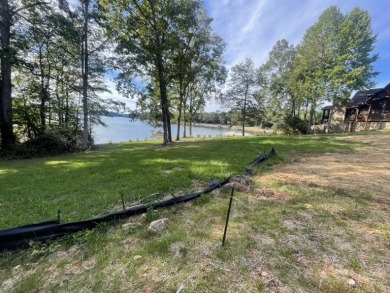 Lake Blue Ridge Lot For Sale in Morganton Georgia