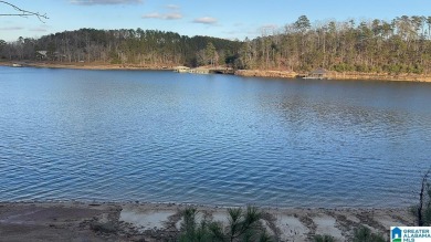 Lake Lot For Sale in Double Springs, Alabama