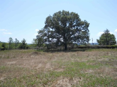 Perfect place to build a dream home or investors could build - photo 3