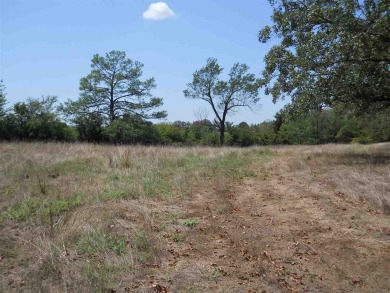 Perfect place to build a dream home or investors could build - photo 4