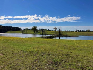(private lake, pond, creek) Acreage For Sale in Big Sandy Texas