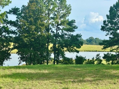 (private lake, pond, creek) Acreage For Sale in Hillister Texas