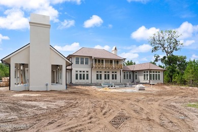 145 Kirkaldy Lane is a stunning new construction home currently - photo 11
