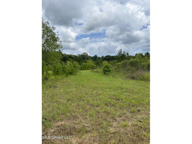 Looking for land to build that new home! Mobile homes are also - photo 11