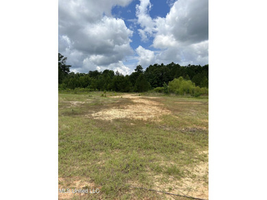 Looking for land to build that new home! Mobile homes are also - photo 12