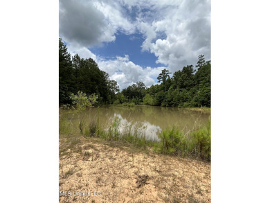 Looking for land to build that new home! Mobile homes are also - photo 13