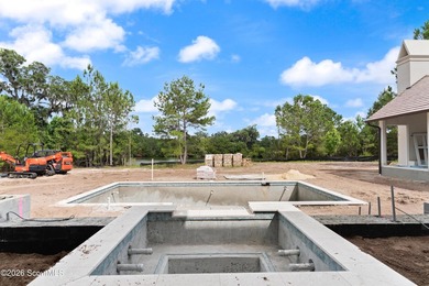 145 Kirkaldy Lane is a stunning new construction home currently - photo 14