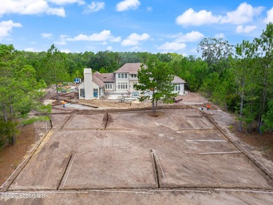 145 Kirkaldy Lane is a stunning new construction home currently - photo 30