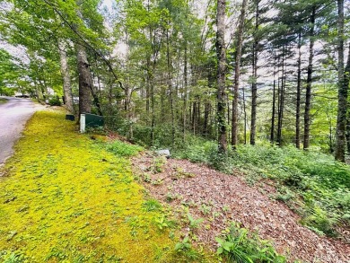 Lake Lot For Sale in Cullowhee, North Carolina